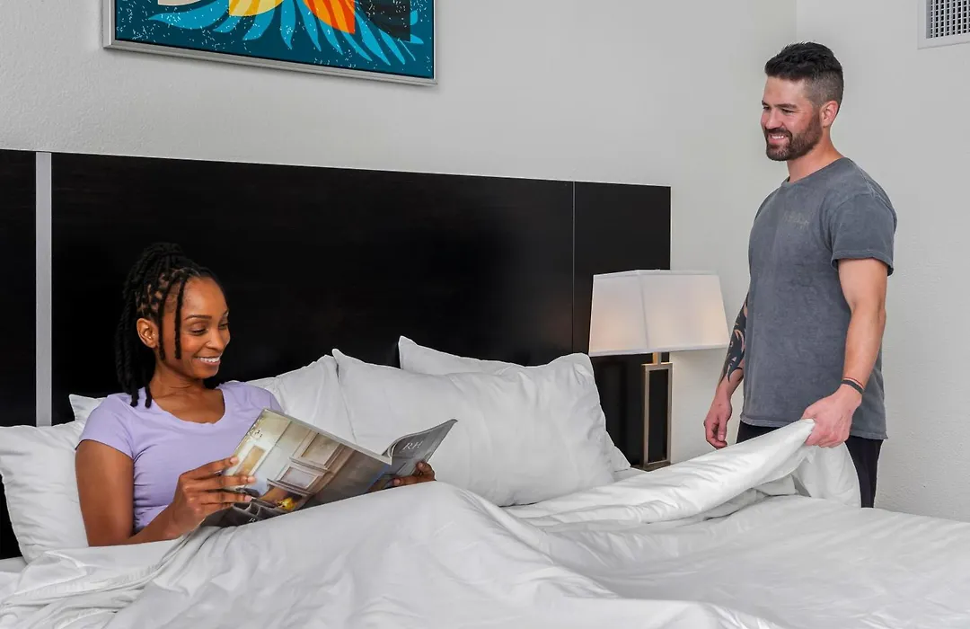 Oasis Bay Suites, Tampa, Busch Gardens, Usf-1