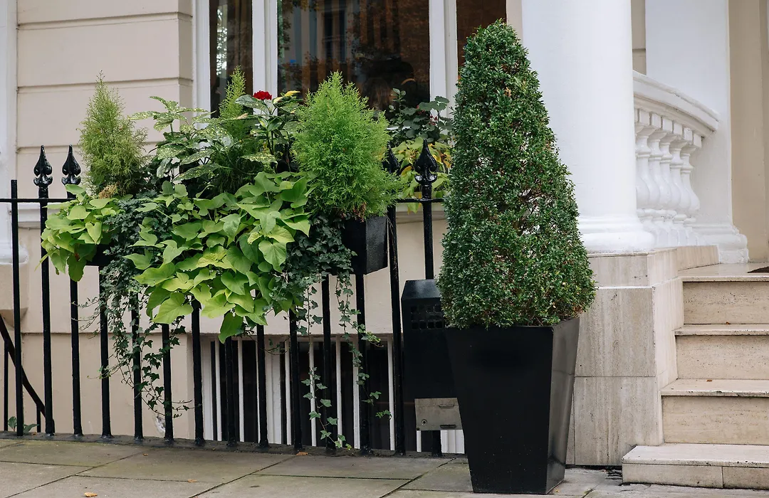 The Premier Notting Hill-1