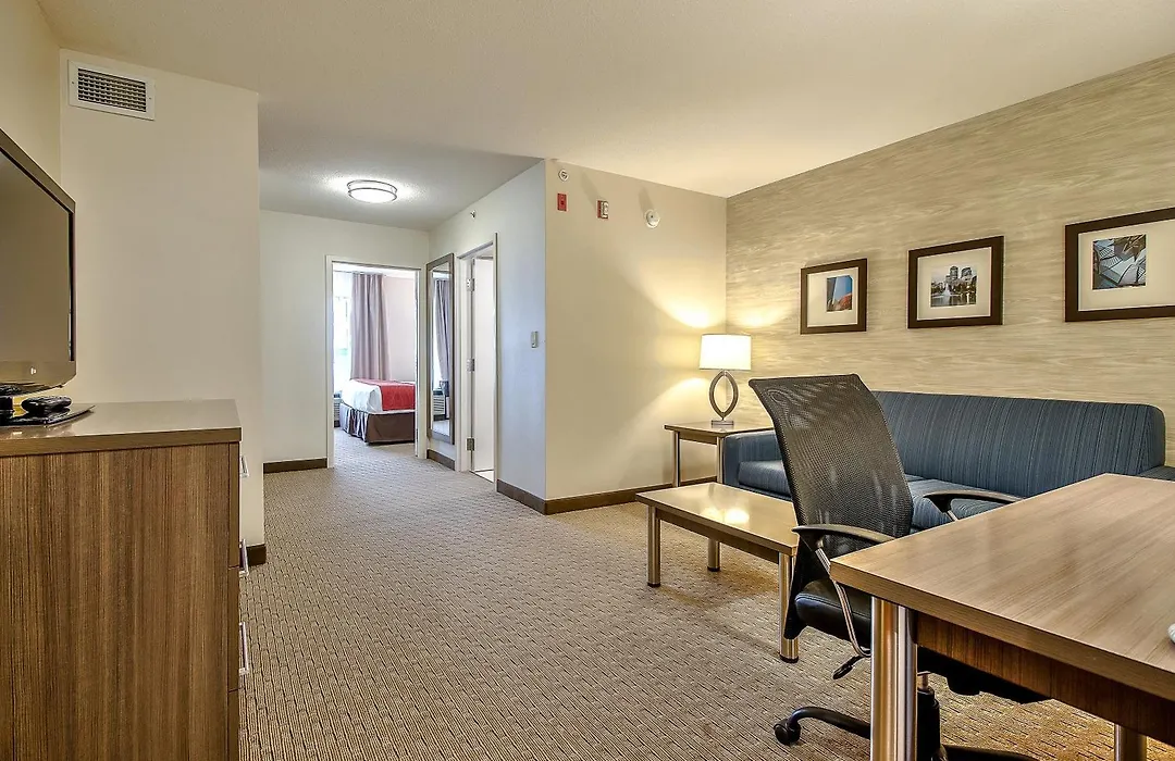 Comfort Inn & Suites South-1