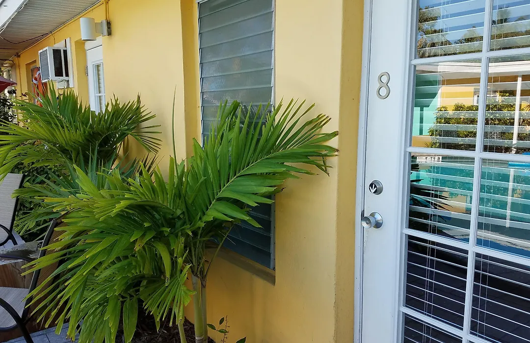 Alexander Palms Court - No Hidden Resort Fees!-1