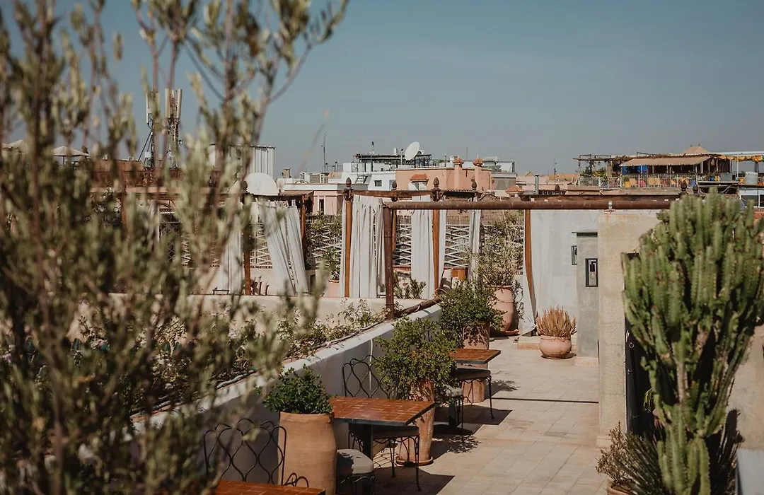 Riad Le Rihani-1