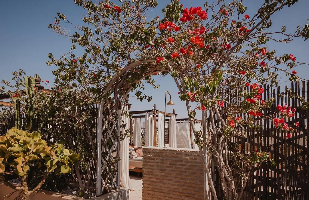Riad Le Rihani-1
