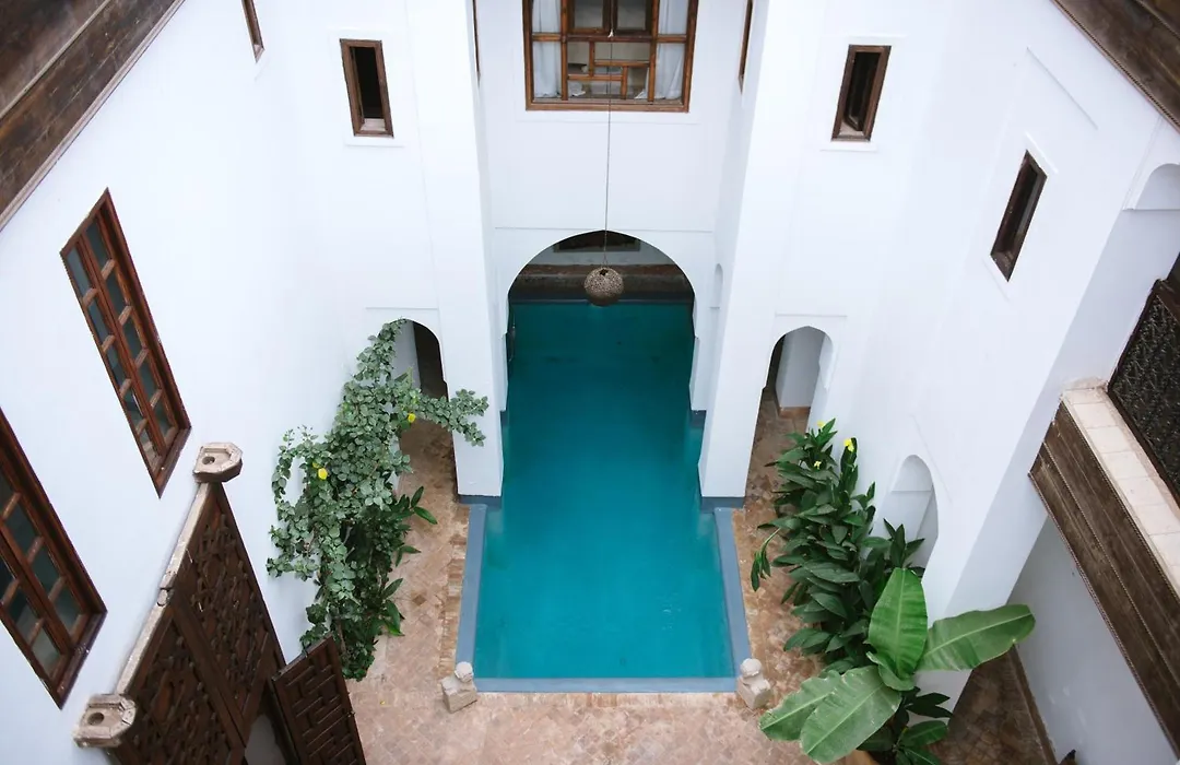 Riyad El Cadi-1