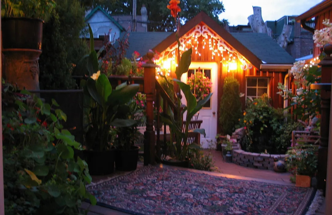 A Seaton Dream-1