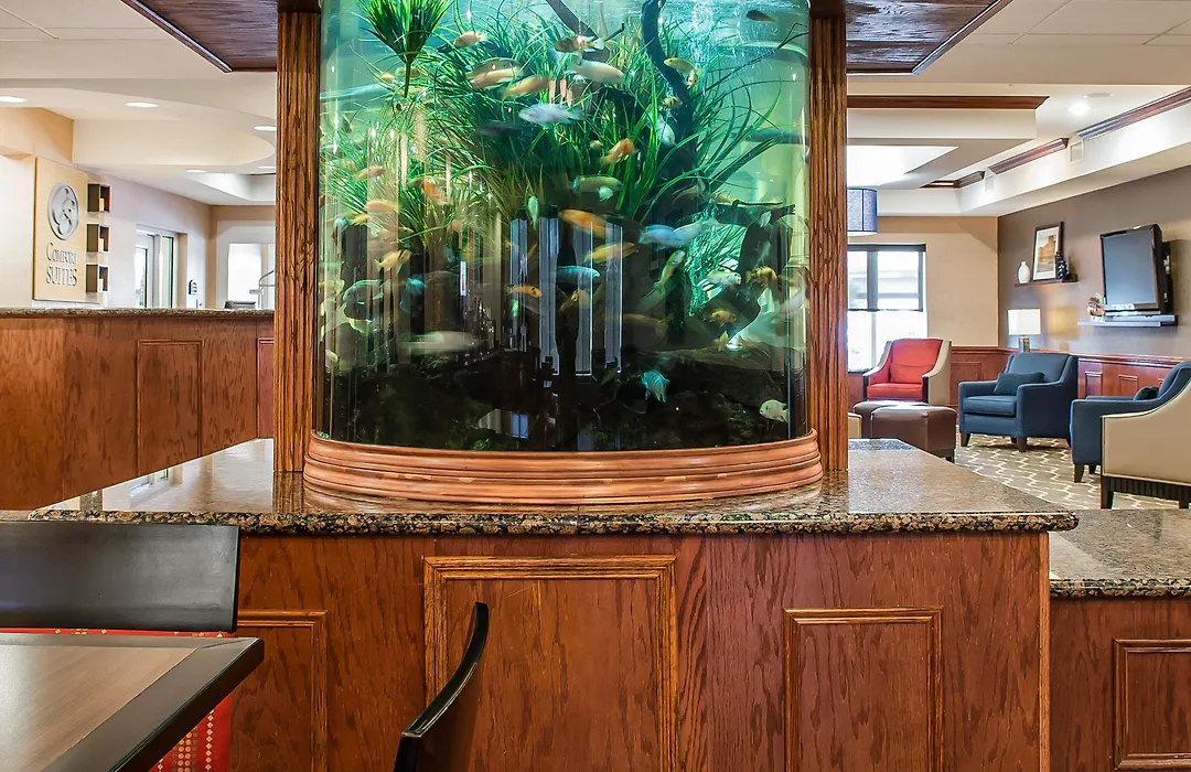 Comfort Suites Near Texas A&M - Corpus Christi-1