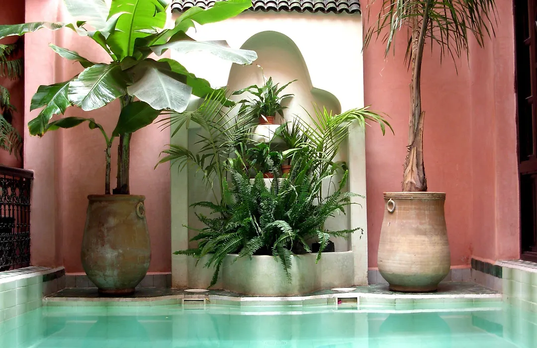 Riad Aderbaz-1