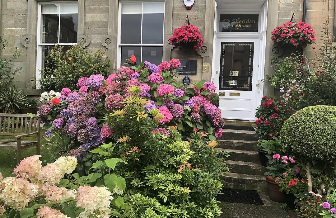 Sheridan Guest House-1
