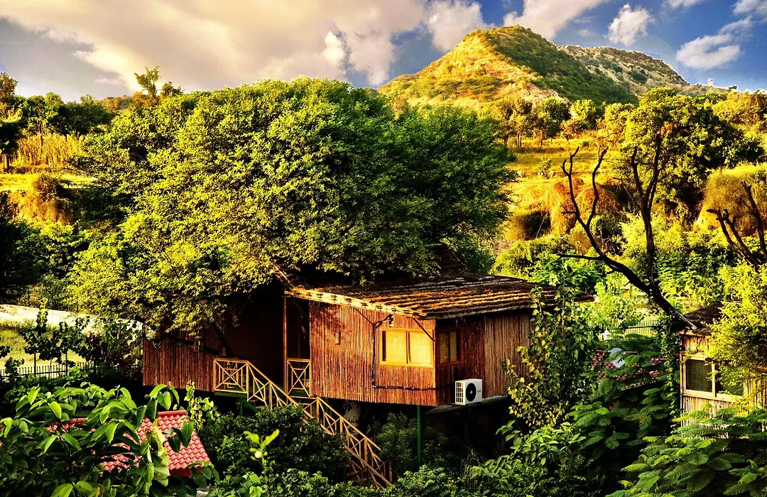 The Tree House Resort, Jaipur- A Club Mahindra Associate-1
