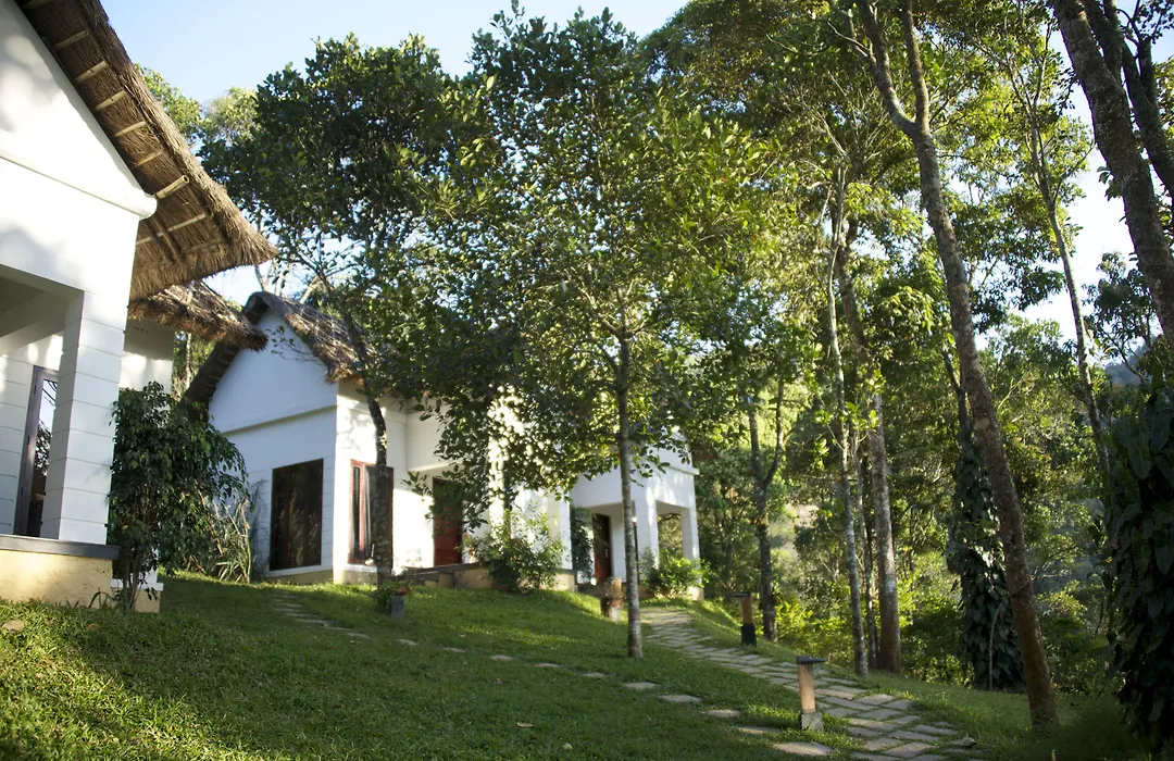 Niraamaya Retreats Cardamom Club-1