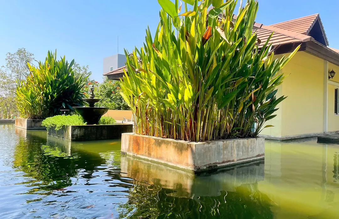 Mountain Creek Wellness Resort Chiangmai-1