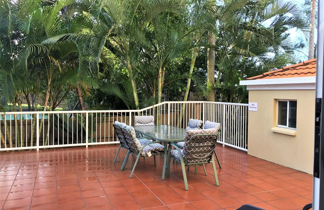 Sea Mist Palms-1
