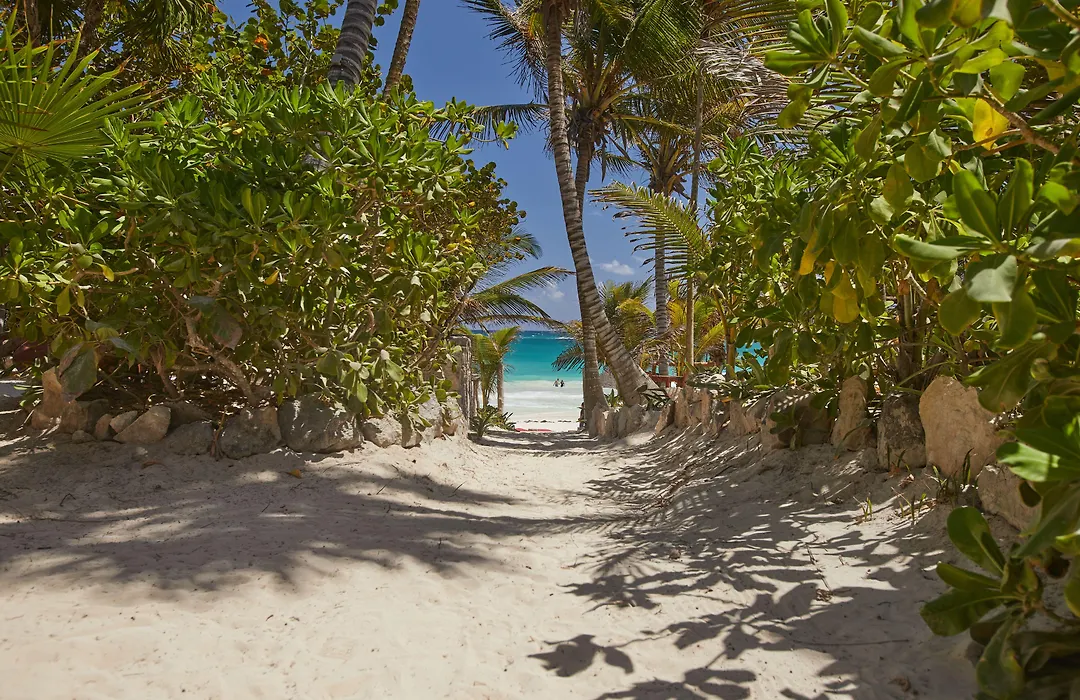 Dos Ceibas Tulum - Feel Good Hotel-1