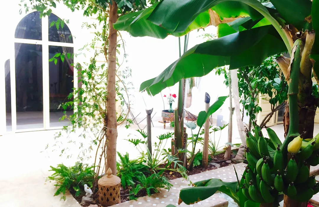 Riad 144-1