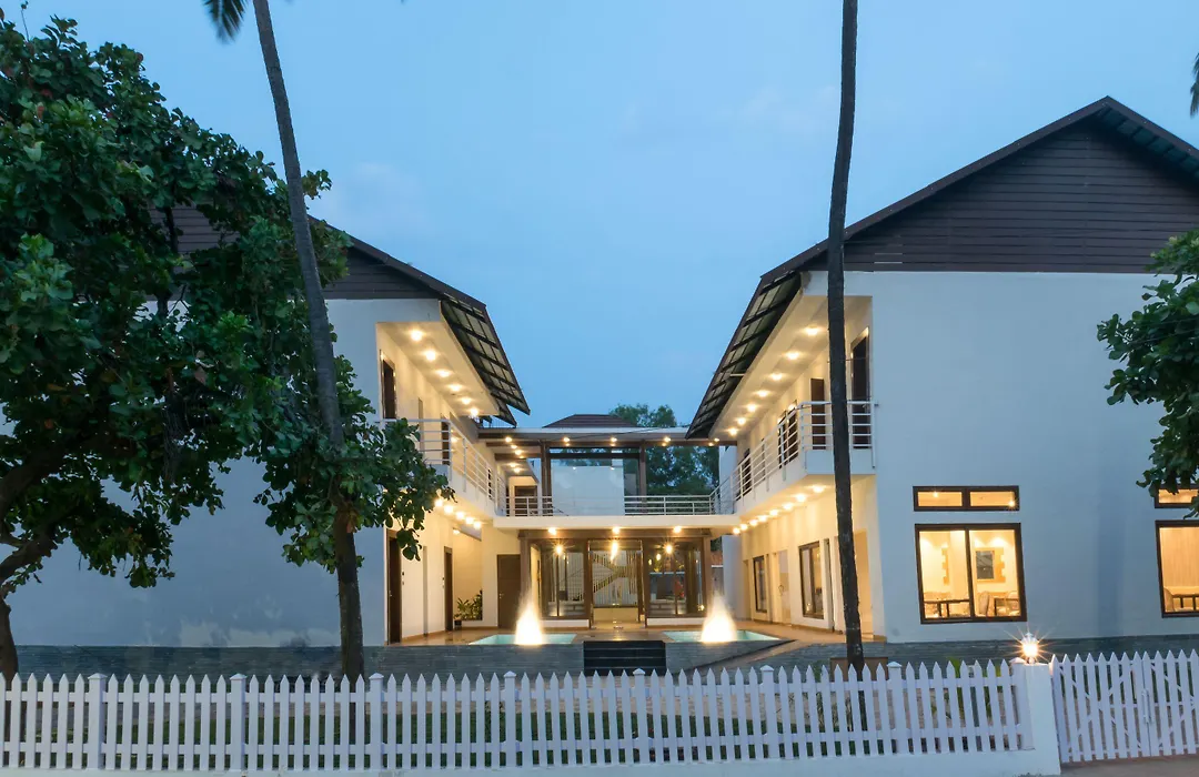 The Ivy Anjuna-1
