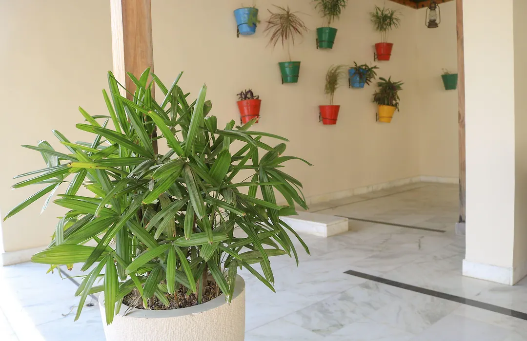 Brahma Horizon Hotel & Spa - Pushkar-1