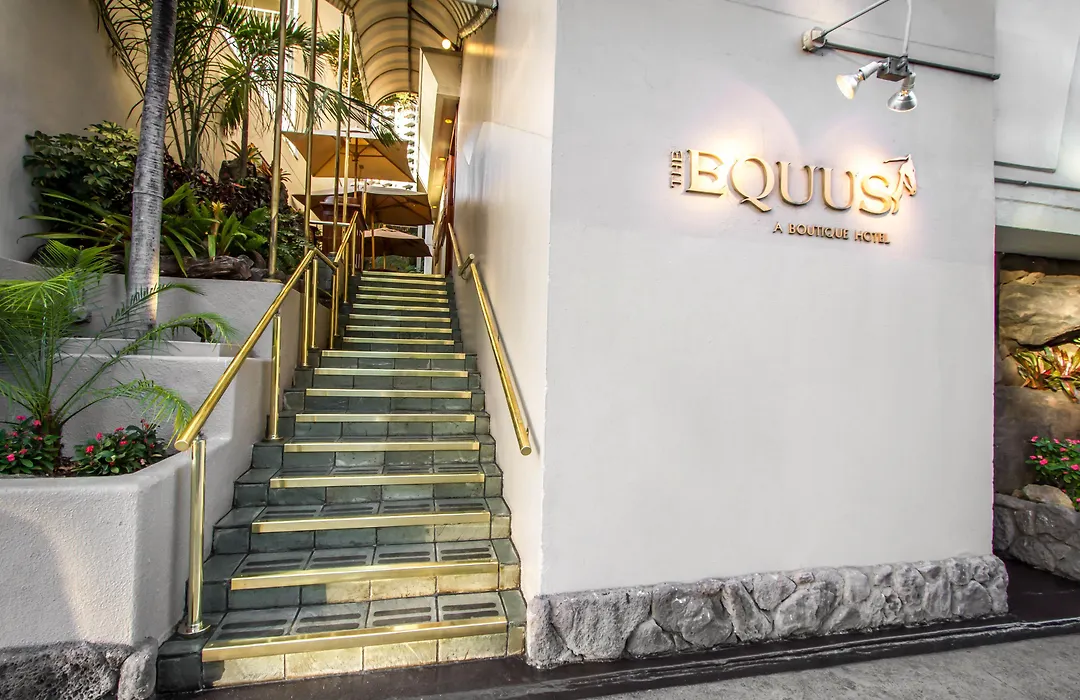 The Equus-1