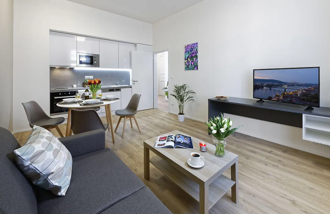 Downtown Suites Jugoslavska-1