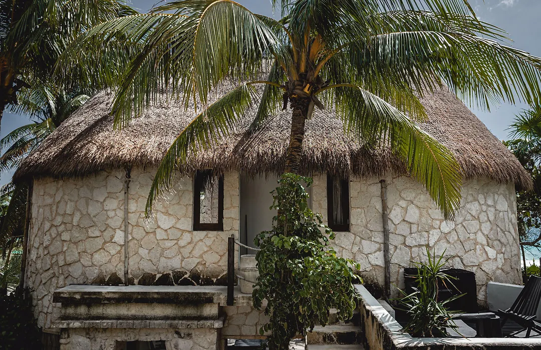 Nest Tulum-1