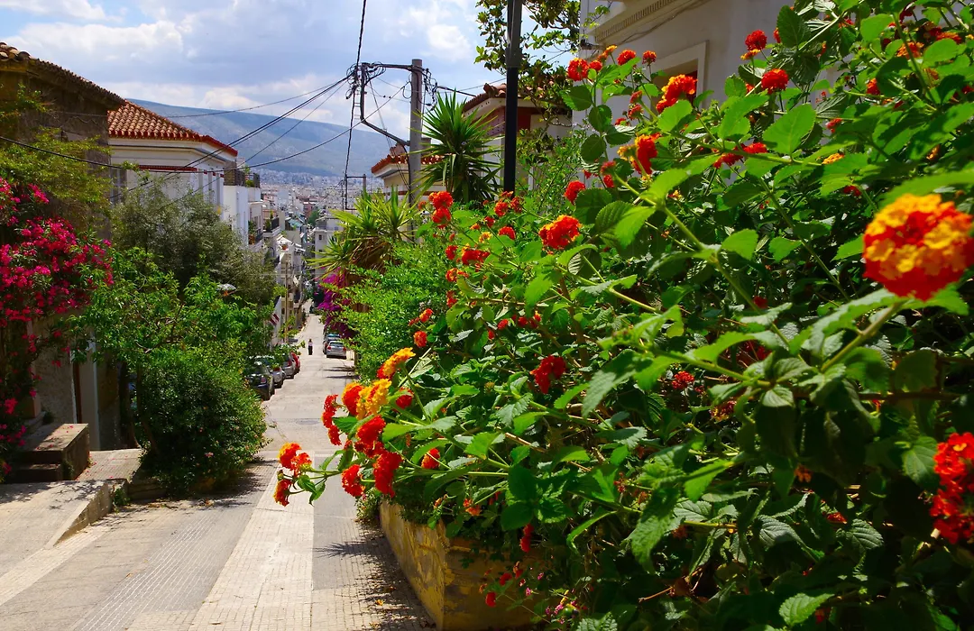Absolute Athens Acropolis View-1
