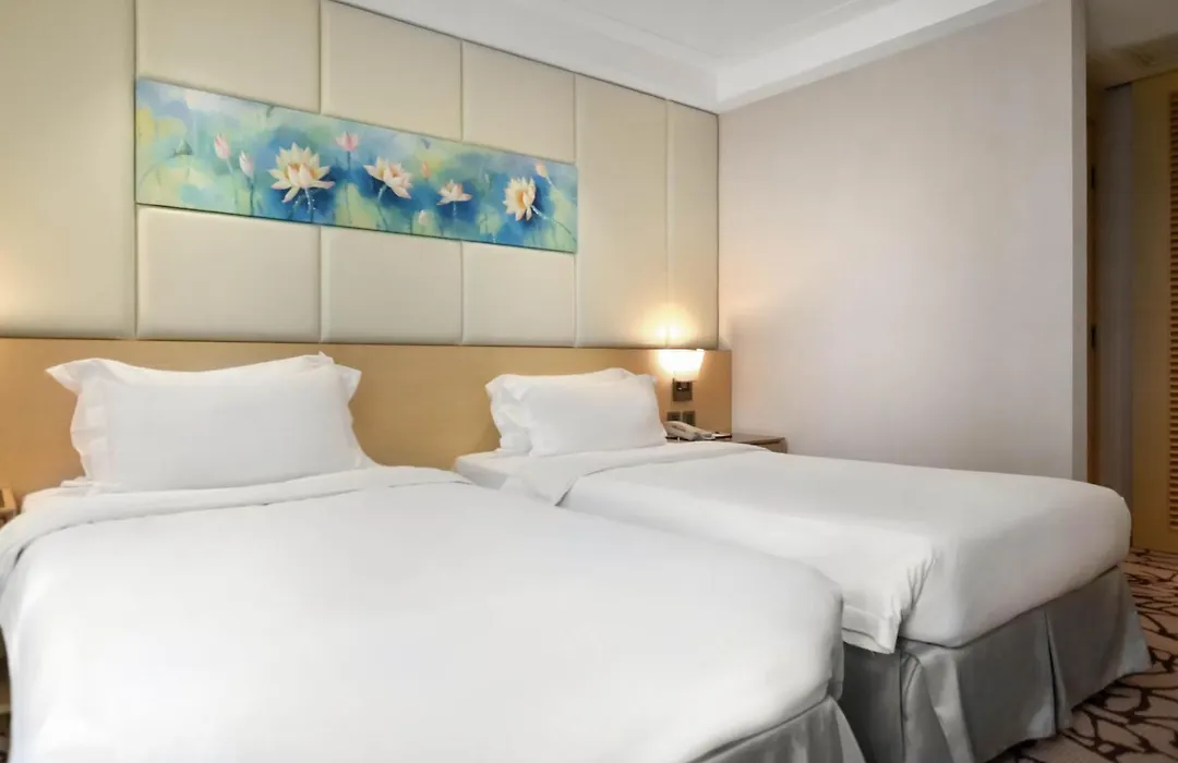 Eco Tree Hotel Sheung Wan-1