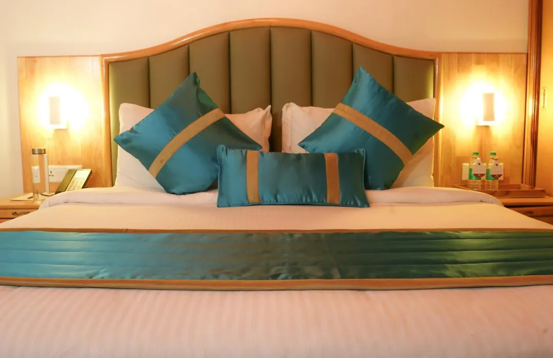 Bravia Hotel Manali Inn-1
