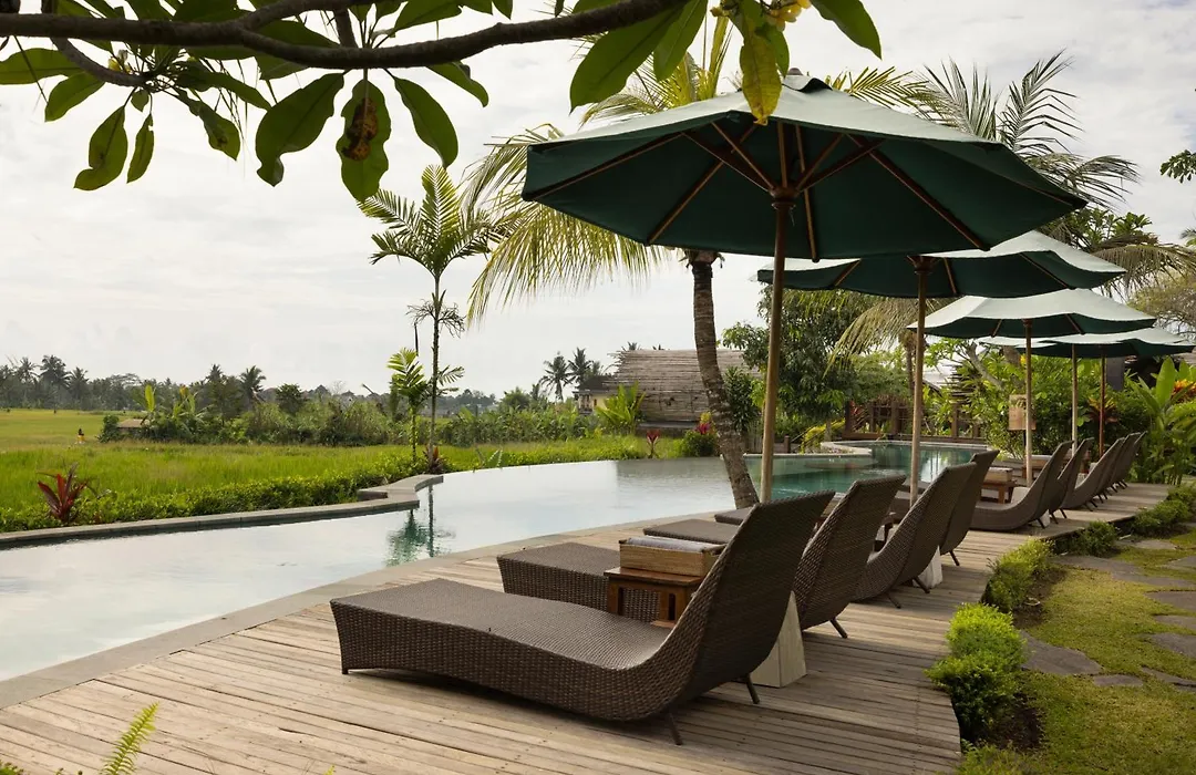 Beehouse Dijiwa Ubud-1
