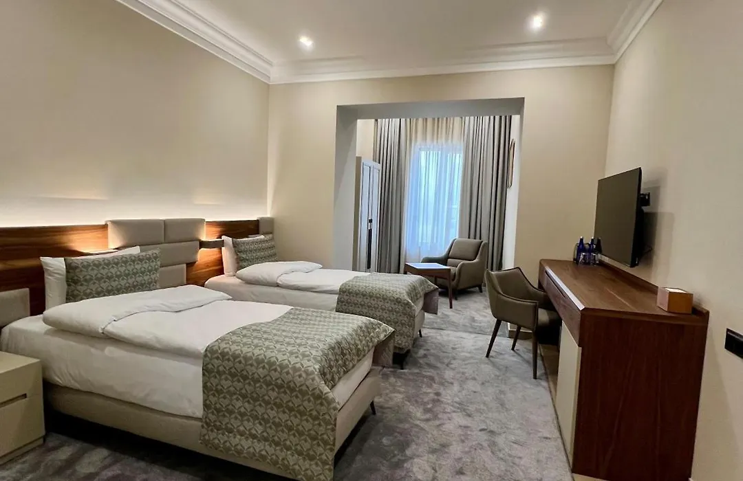 Plaza Viktoria Hotel Yerevan-1