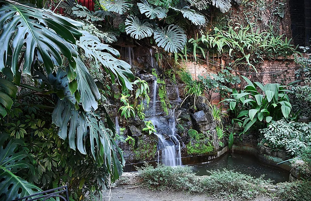 Hotel Nirvana Garden-1