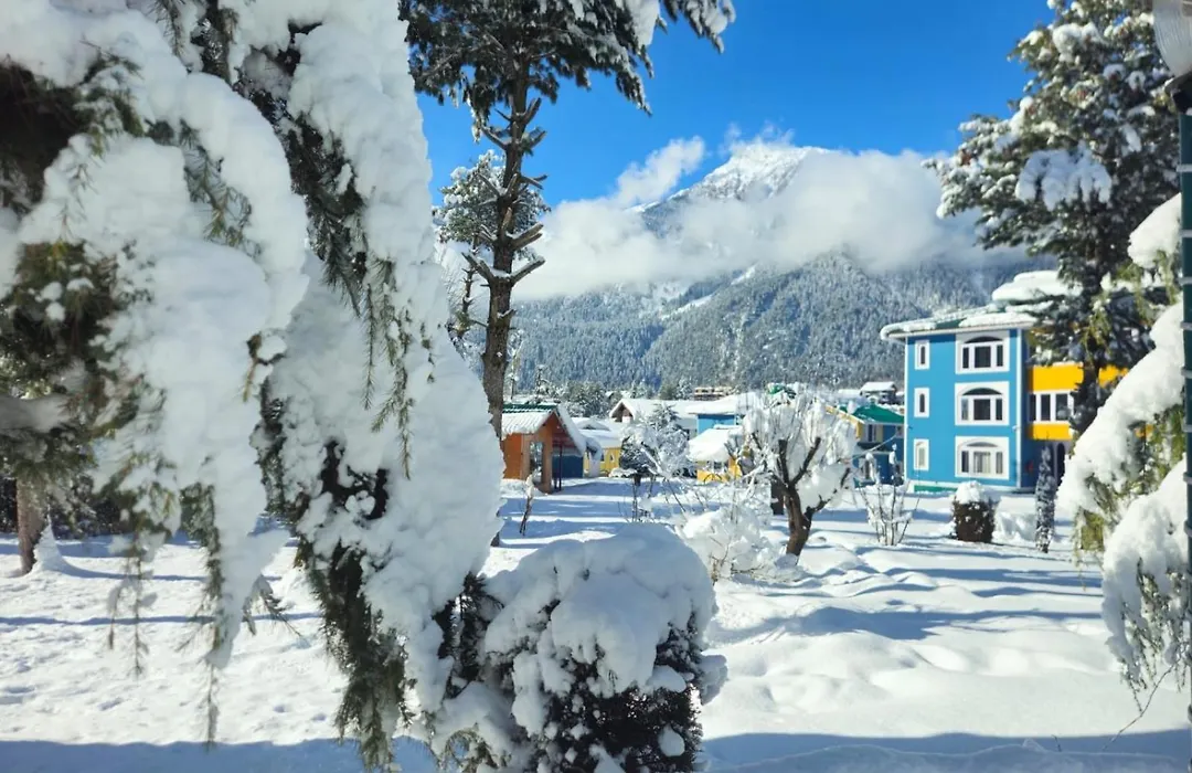 Pahalgam Resort And Cottages-1