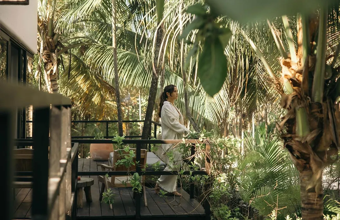 Chiringuito Tulum-1