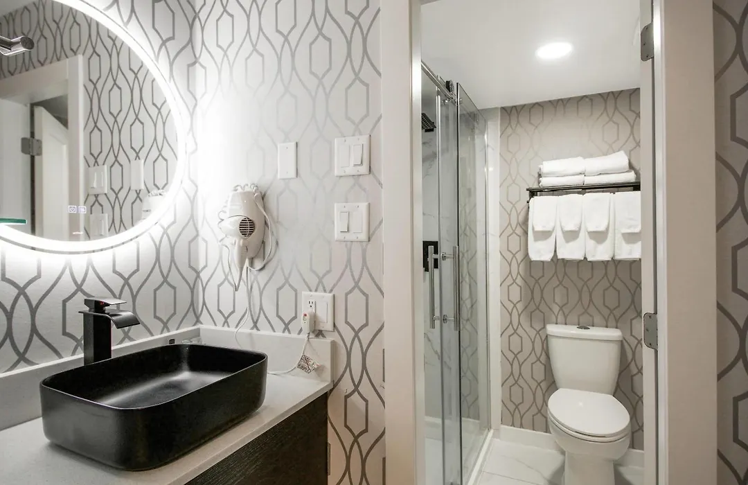 The Vic, An Ascend Collection Hotel-1