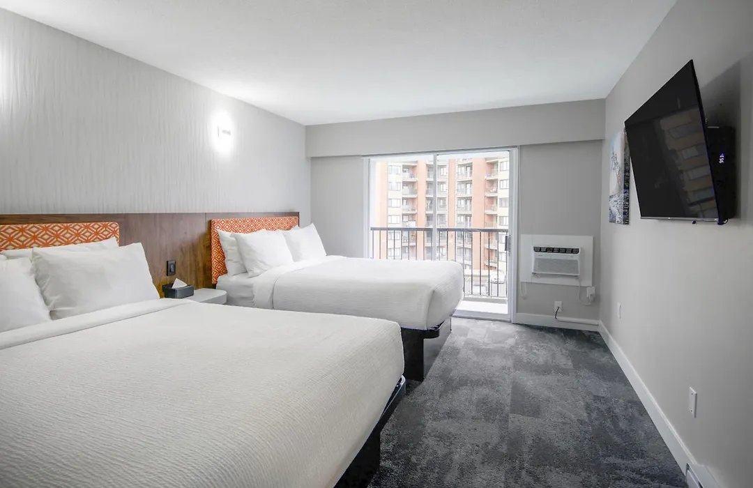 The Vic, An Ascend Collection Hotel-1