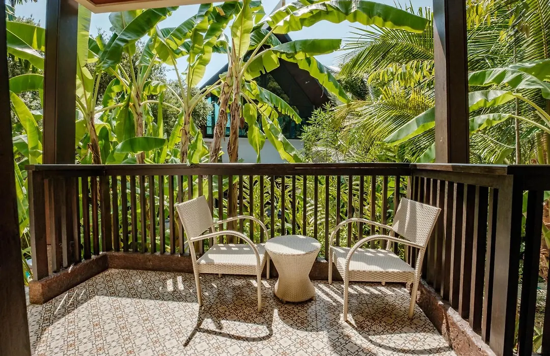 Hula Hula Resort L Truly Tropical And Fun Wellness-1