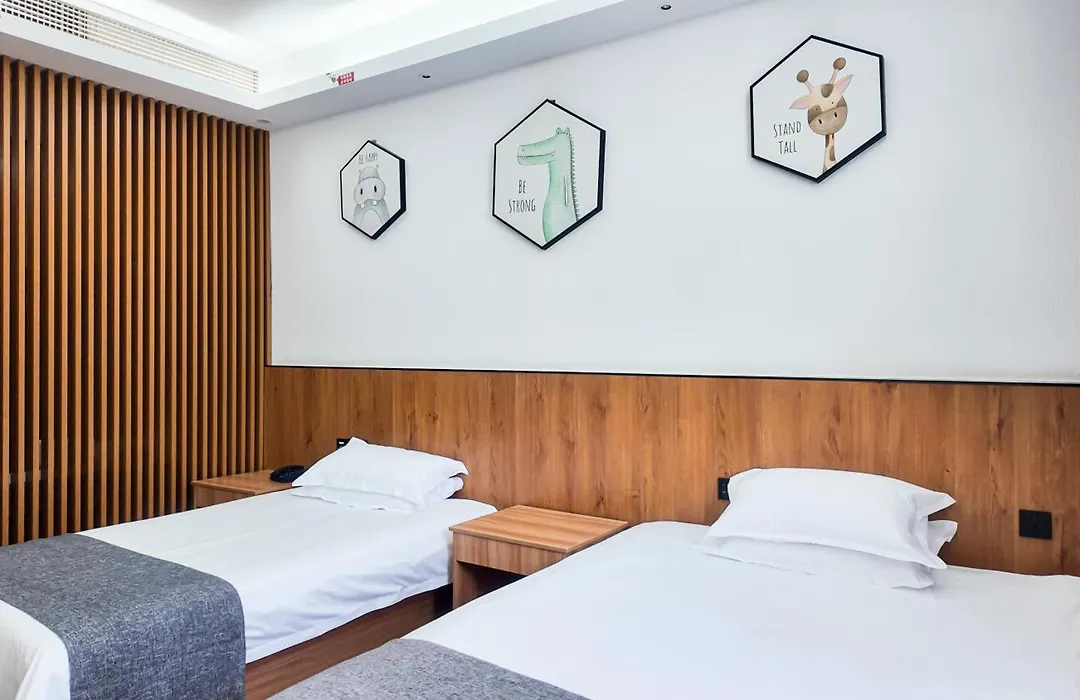Lin XI Hotel Pudong Pvg Airport Disneyland Free Shuttle-1