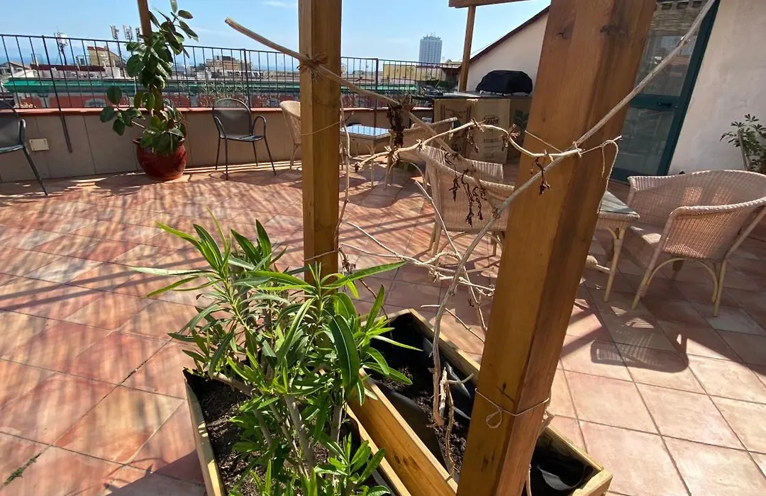 Janare - Rooms & Terrace-1