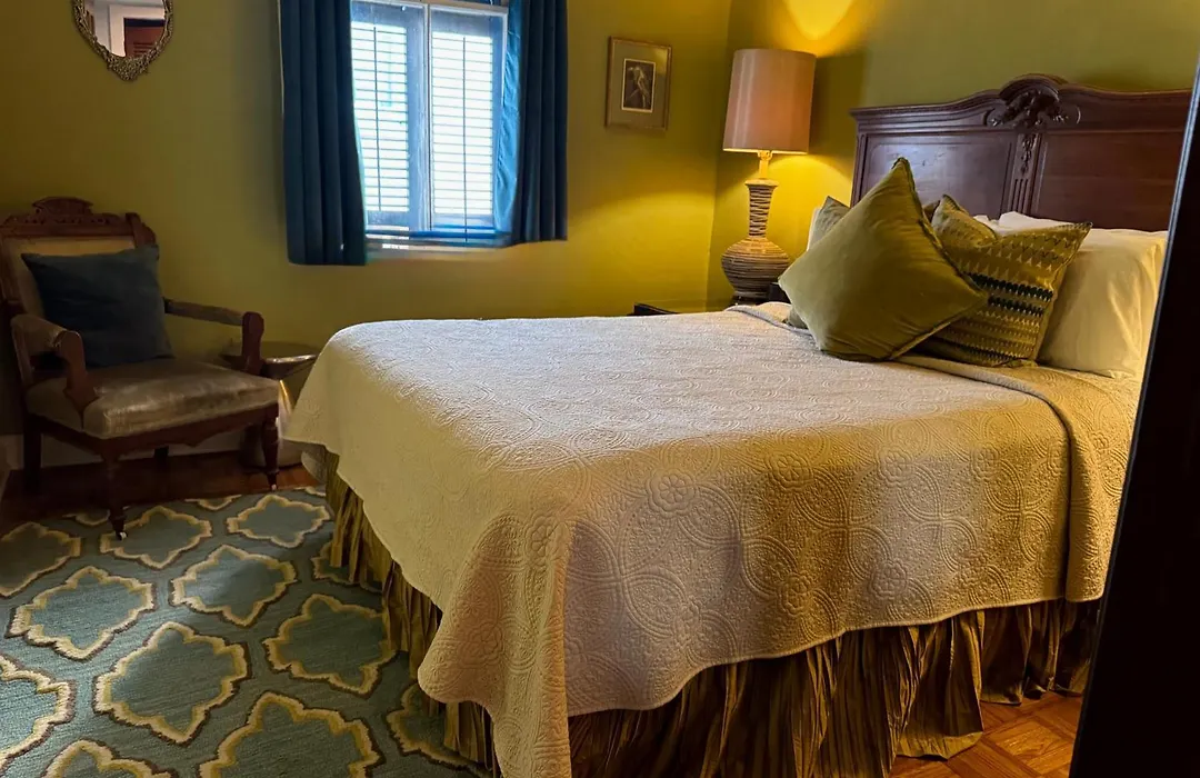 The Dragonfly Treme-Historic Guesthouse-Near French Quarter-1