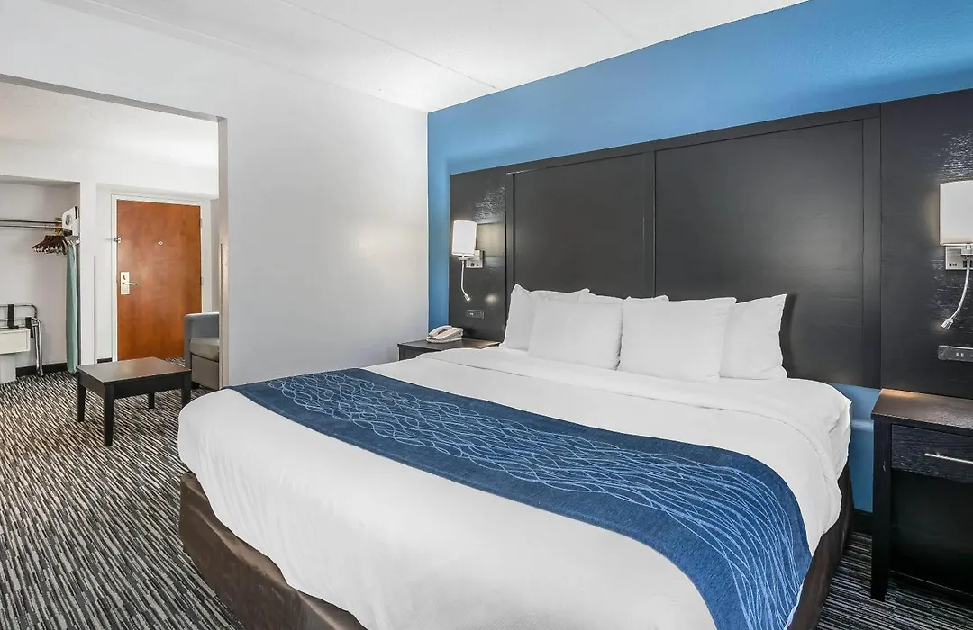 Comfort Inn Gainesville - University Area-1
