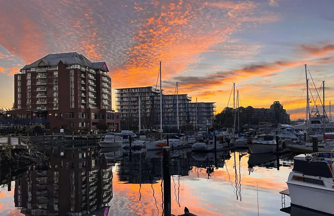 Coast Victoria Hotel & Marina By Apa-1