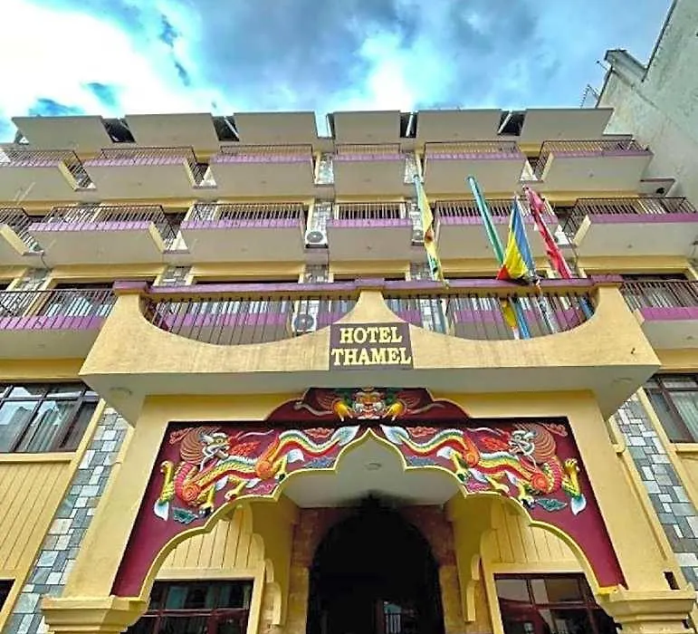 Hotel Thamel-1