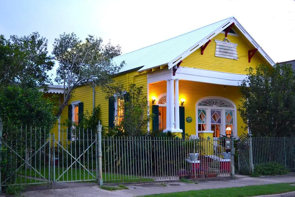 Auld Sweet Olive Bed And Breakfast-1