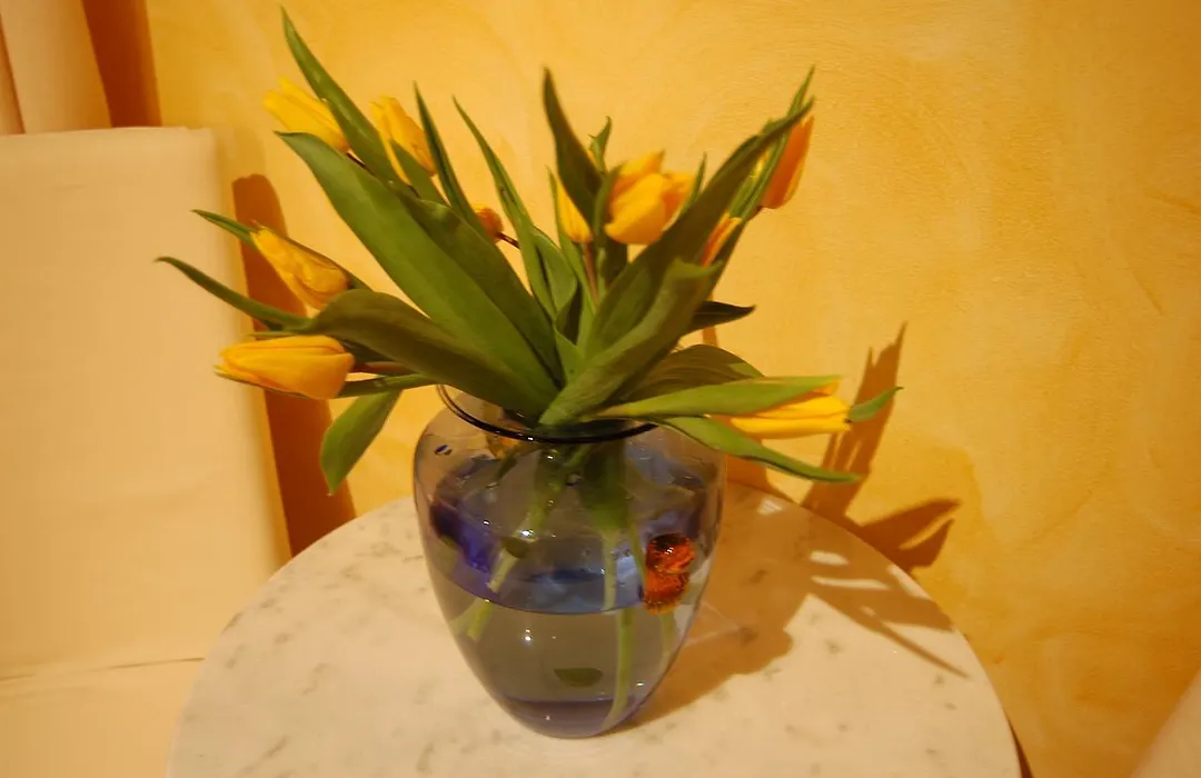 Anfiteatro B&B-1