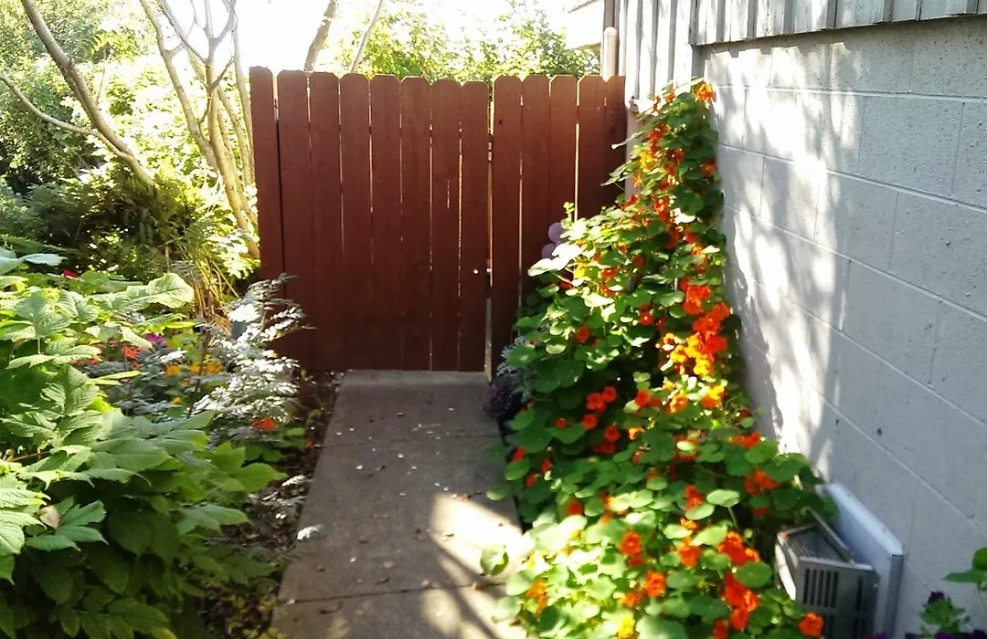 Susitna Place B&B-1