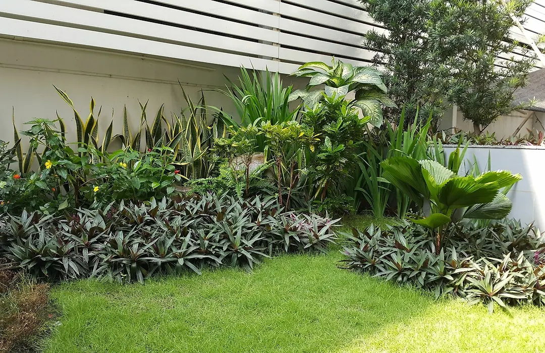 An Phu Plaza Serviced Apartment-1