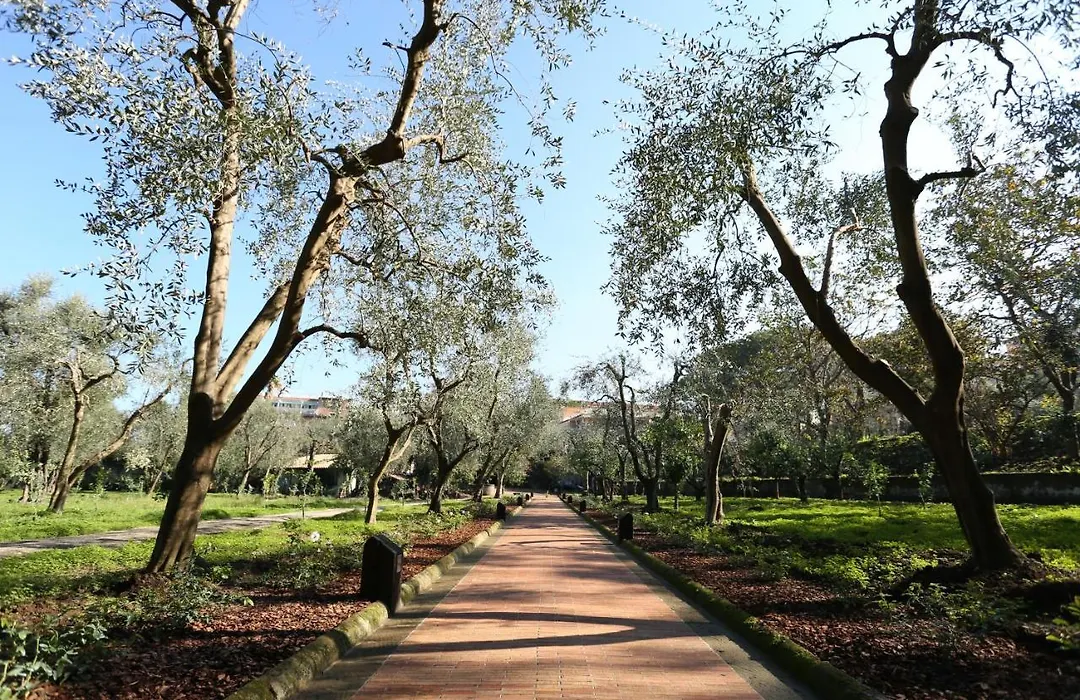 Villa Zagara - La Serra-1