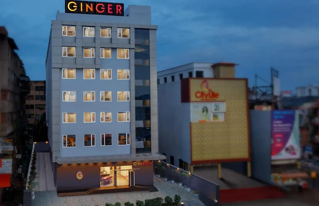 Ginger Patna-1