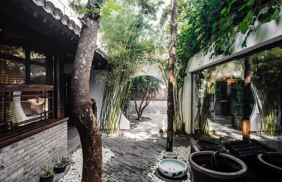 The Orchid Hotel - Old Town & Drum Tower-1