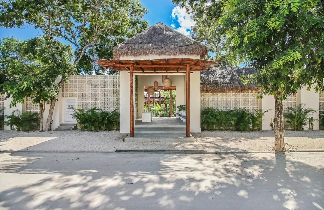 Zenses Wellness And Yoga Resort - Adults Only-1