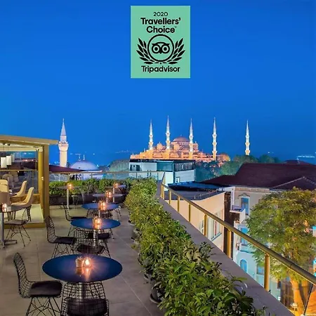 Tan Hotel - Special Category-2