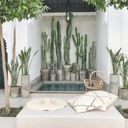 Riad Dar-K-2