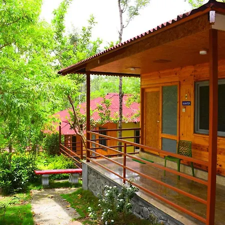 The Brook Resorts & Spa-2